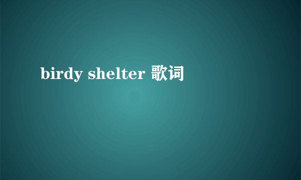 birdy shelter 歌词