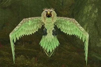 魔兽世界wlk猛禽在哪抓