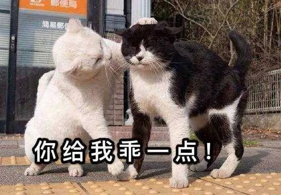 冯绍峰到底是一个什么样的人?