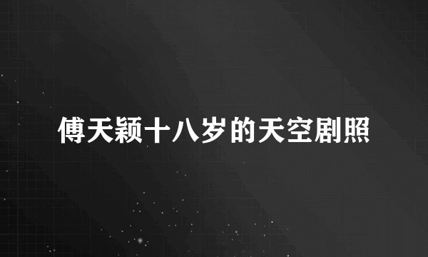 傅天颖十八岁的天空剧照