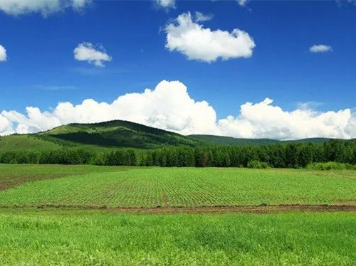 土地现状分类有哪些