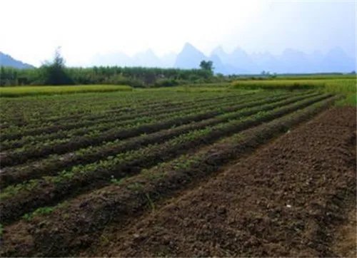 土地类型分为几种