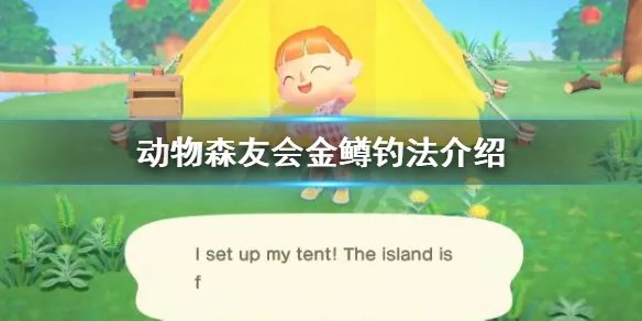 《集合啦动物森友会》金鳟怎么钓 金鳟钓法介绍
