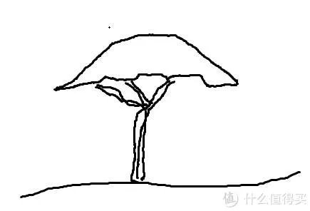 造景 篇一：小白也能玩草缸—聊一聊我的水草缸造景历程