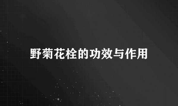 野菊花栓的功效与作用