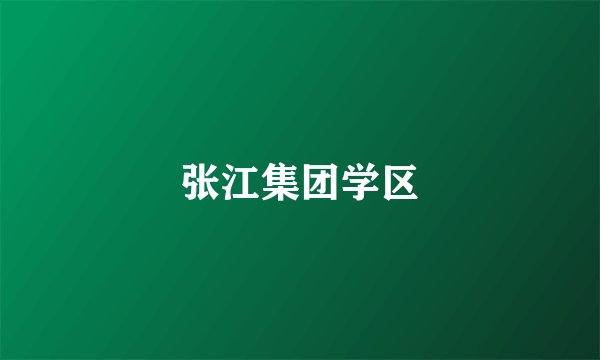 张江集团学区