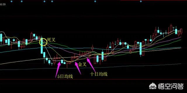 什么是金叉?什么是死叉?怎么看？