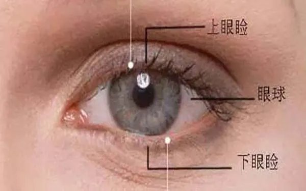 手术去眼袋多少钱