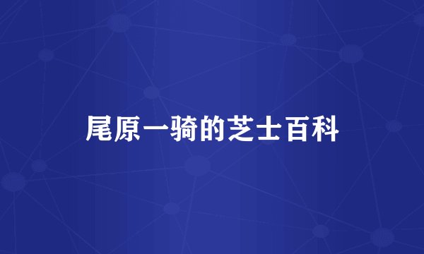 尾原一骑的芝士百科