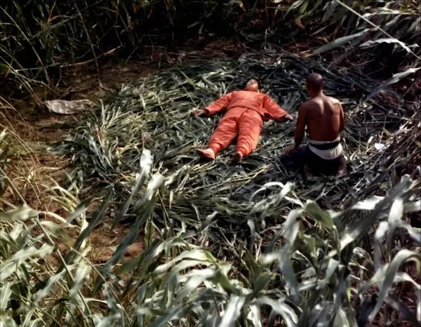 红高粱的结局是什么