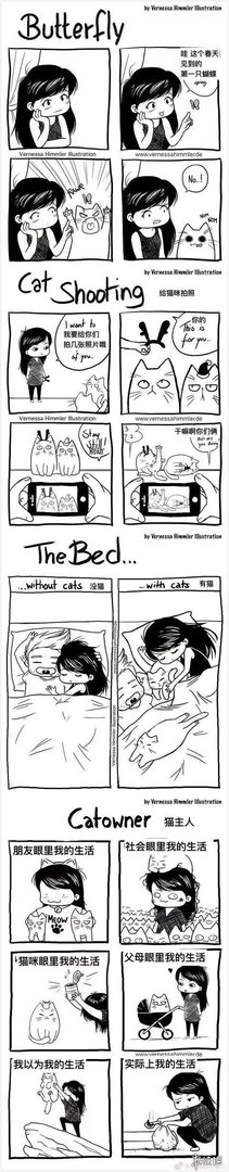 这磨人的小妖精!这20张插画告诉你为什么千万别养猫