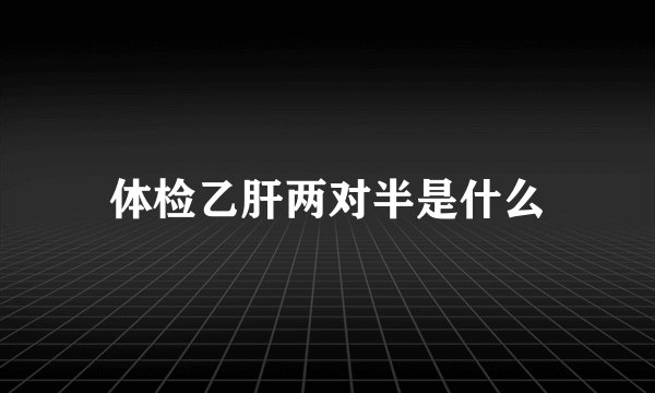 体检乙肝两对半是什么