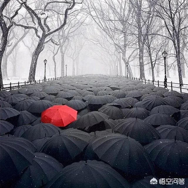 齐齐哈尔大学和中原工学院哪个好