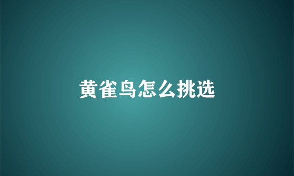 黄雀鸟怎么挑选