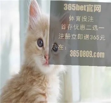 男子倒卖假足球票被拘会判多久