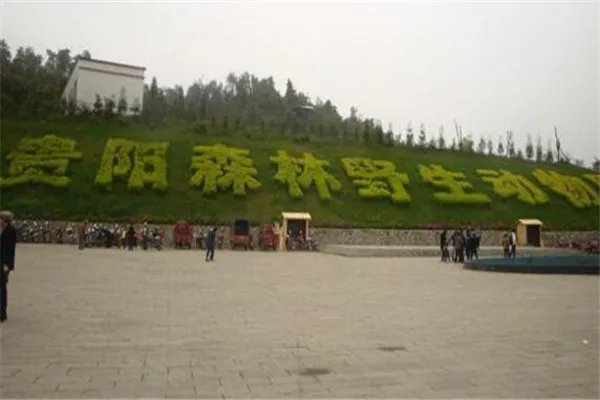 贵阳有什么好玩的地方？盘点贵阳好玩的地方排行榜