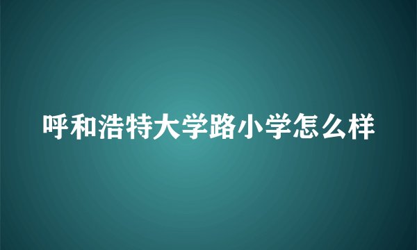 呼和浩特大学路小学怎么样