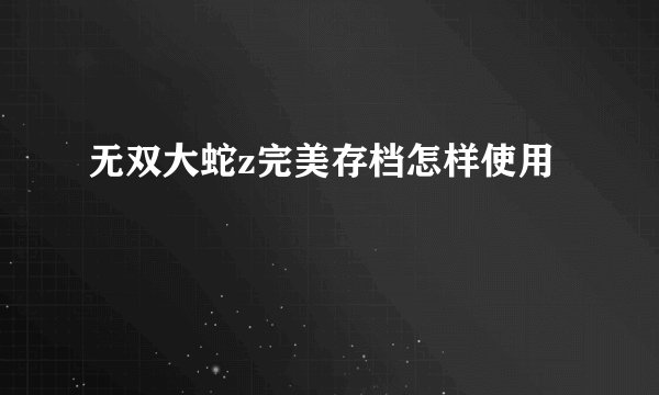 无双大蛇z完美存档怎样使用