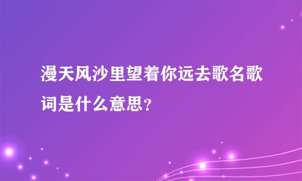 漫天风沙里望着你远去歌名歌词是什么意思？