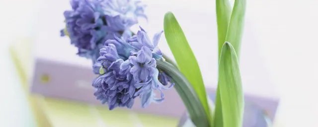 适合摘抄的现代诗