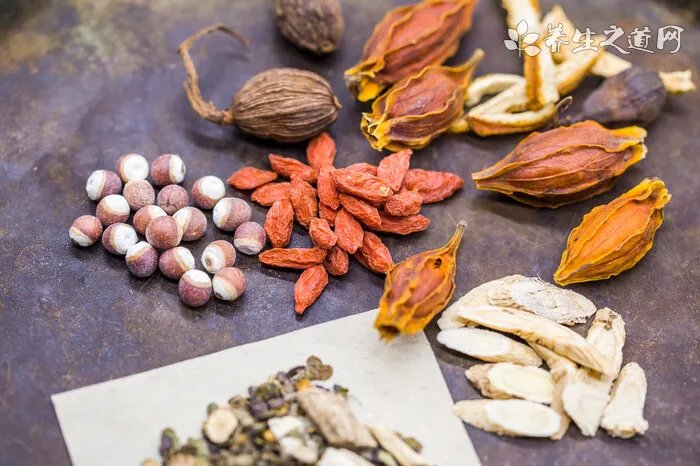 星点龟怎么养？