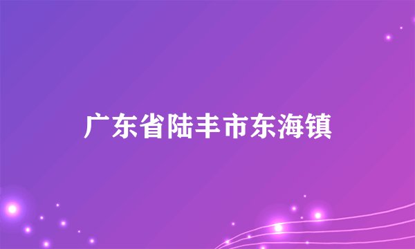 广东省陆丰市东海镇