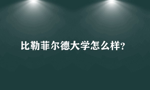 比勒菲尔德大学怎么样？