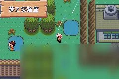 口袋妖怪漆黑的魅影4.5完美版攻略大全（全）