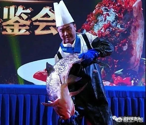 剁椒鱼头蒸多少分钟肉质最鲜嫩？