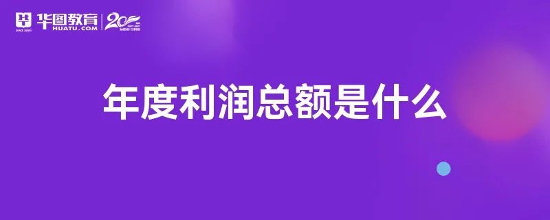 年度利润总额是什么