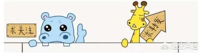 美国的F22和F35都是五代机，它们都有哪些相同点，又有何区别？