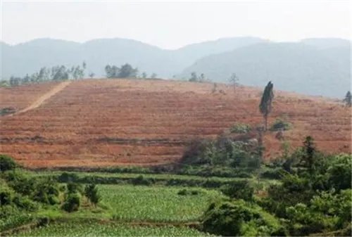 土地类型分为几种