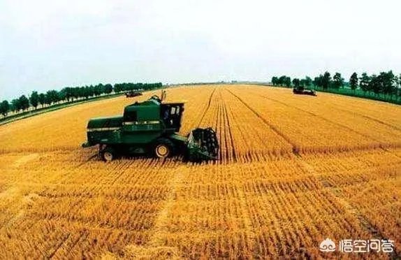 2018年农业的商机有哪些？