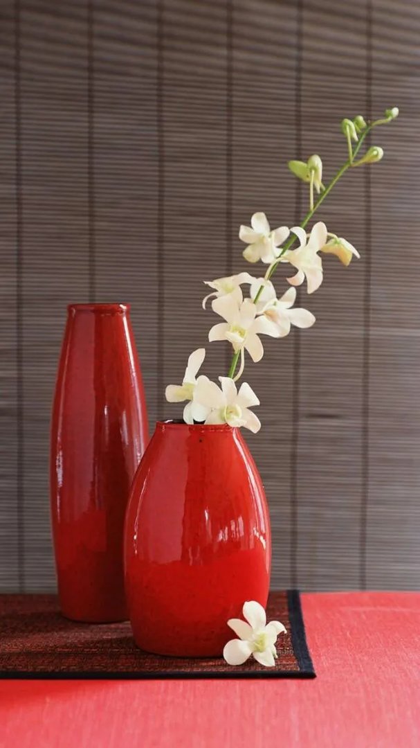 12岁女孩赢得全国街舞冠军，从小靠比赛奖金帮补家计，打动你的有哪些？