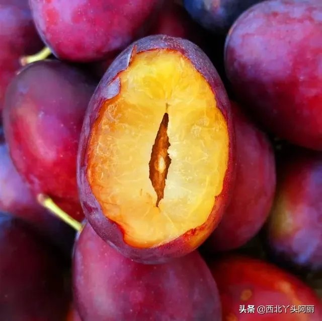 西梅是澳洲还是智利的好