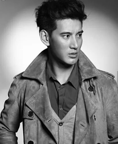 蒲巴甲和王力宏为什么这么像啊?