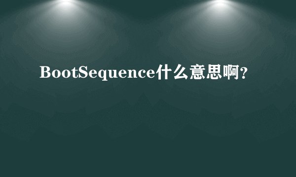 BootSequence什么意思啊？