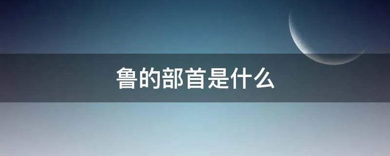 鲁的部首是什么