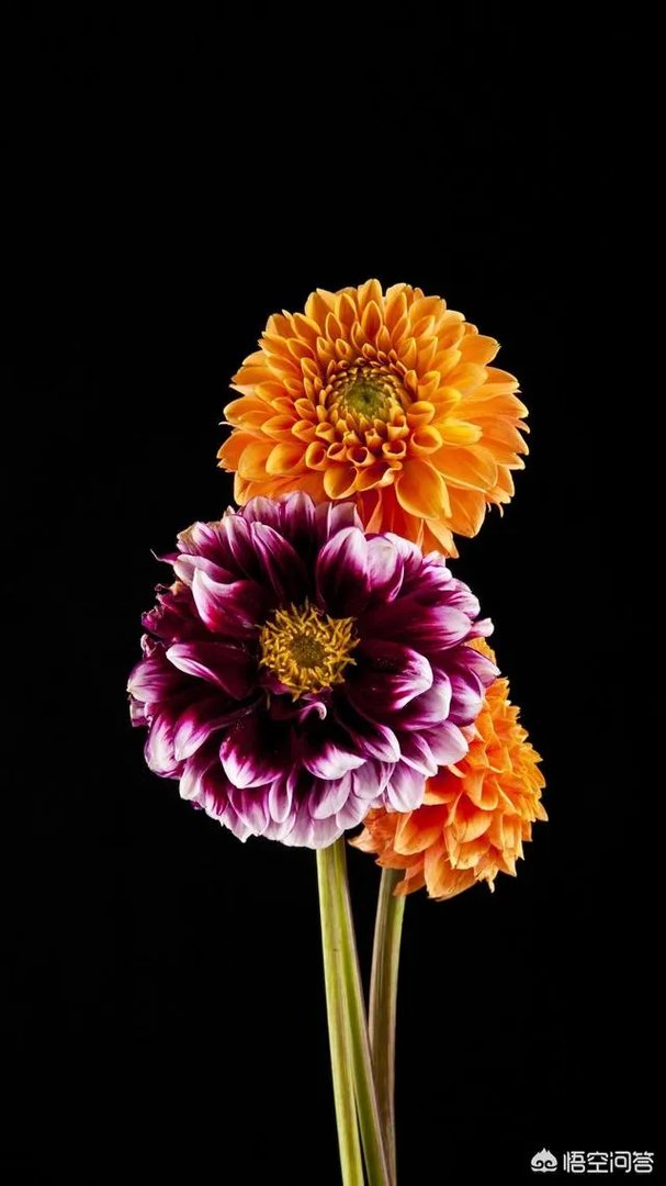 此刻的你，正在痛苦着什么呢？