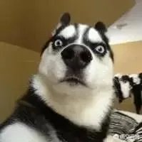 谁有软萌的男生头像？