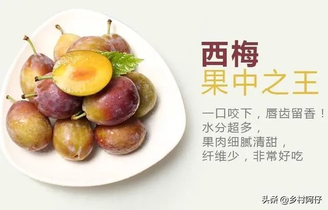 西梅是澳洲还是智利的好