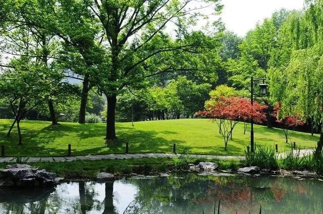 杭州的太子湾公园好玩吗？是否值得周末去玩？