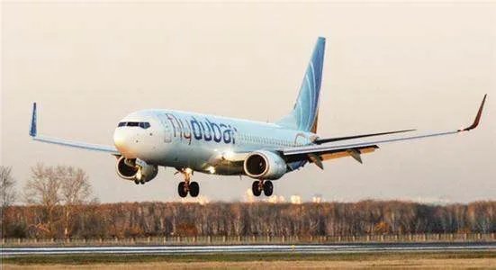 日本航空123号班机空难事件的搜救工作