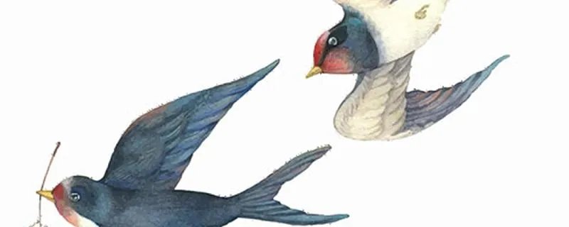 梦到燕子筑巢是什么意思 梦到燕子筑巢有啥征兆