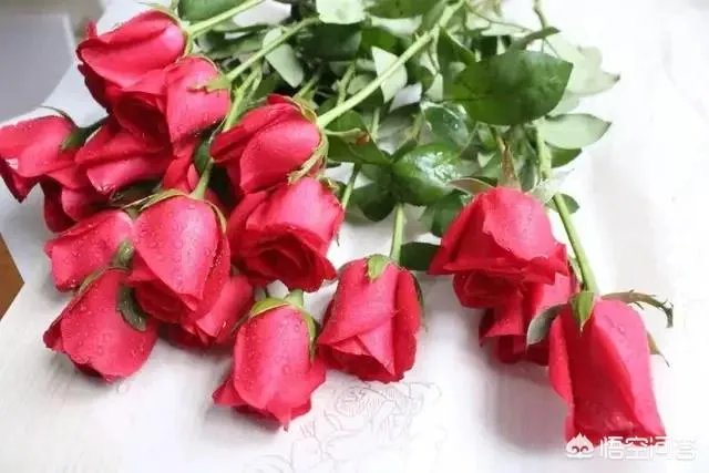 过年是否就是一家人团团圆圆在一起呢？