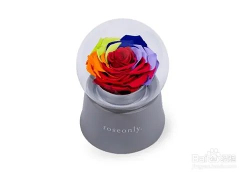 网上订购鲜花哪里好