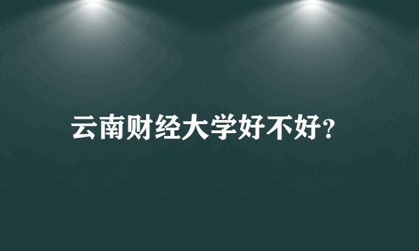 云南财经大学好不好？