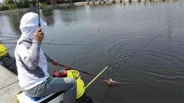 海口钓淡水鱼和海鱼的地方有哪些？