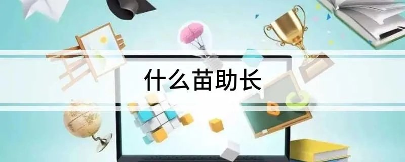 什么苗助长