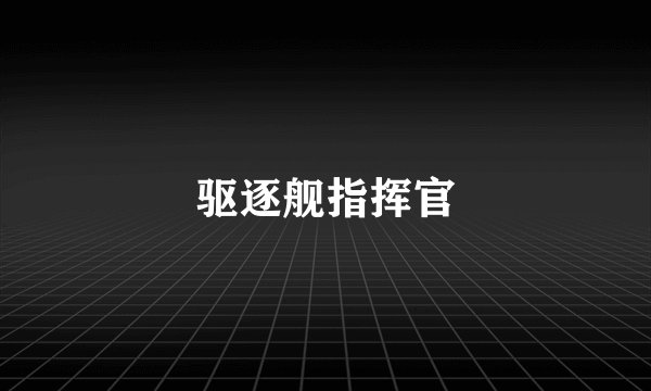 驱逐舰指挥官
